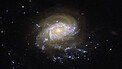 Zoom: Galactic Seascape